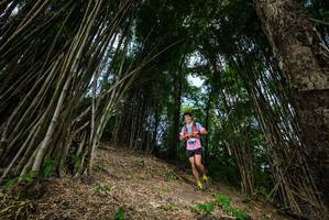 BIB: 
                            <button type="button" onclick="openModal(19395207)" class="btn btn-primary btn-sm float-right btn-popup" data-toggle="modal" data-target=".modal-high-quality">
                        <i class="fas fa-shopping-cart"></i> Add to Cart
                    </button>
                                            <button type="button" onclick="isThisMe(19395207, true)" class="btn btn-success btn-sm float-right btn-popup btn-isme hidden" data-toggle="tooltip" data-placement="bottom" title="นี่คือรูปของคุณใช่ไหม คลิกที่นี่เพื่อเอาเข้าอัลบั้ม">
                        <i class="fas fa-plus"></i> Add to album
                    </button>
                    <button type="button" onclick="isThisMe(19395207, false)" class="btn btn-warning btn-sm float-right btn-popup btn-isnotme hidden">
                        <i class="fas fa-ban"></i> Remove from album
                    </button>